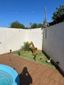 Casa de festa