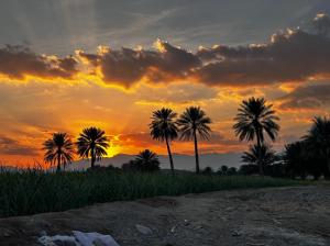 Alshuruq Stay
