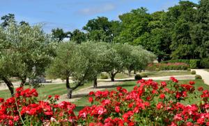 B&B / Chambres d'hotes B&B Domaine de La Corbe : photos des chambres