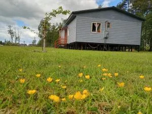 Brisas de Octay - Corte Alto