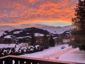 Appartement à Megève skis aux pieds - La CABOCHE - Le Planellet