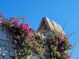 Li Conchi Villa 17 img32