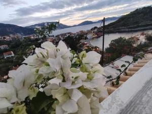 Caldera Apartments Assos