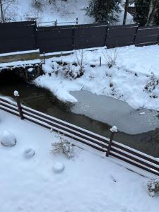 Незабутні Карпати