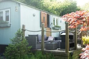 Shepherds Hut with Hot Tub - Sway