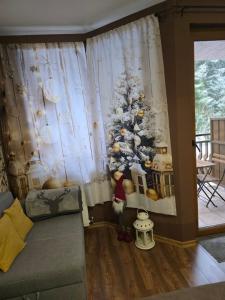 Studio 1 Iceberg Borovets