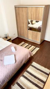 Phoenix Central Apartments Sibiu