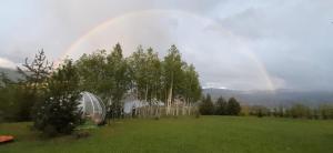 Lake & Mountain View Ceahlau