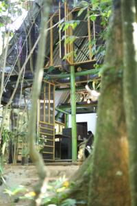 Bamboo Cabana Adams Peak