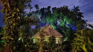 Bak A Yaad - Westlands