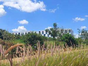 Eudoraz Safari - 1 Bedroom Apartment in Tatu City