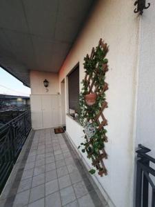 La Corte Industriale