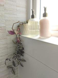 Departamento central viña