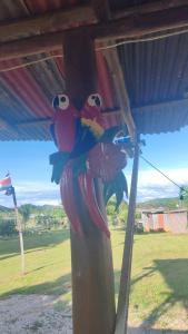 Villa Manzú Santa Cruz, Guanacaste