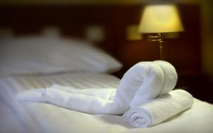 Hotel Pod Zeleným Dubem