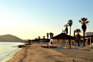 Deliziosa mansarda con terrazzo a 2 passi dal Lido img22