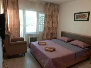 Cosy flat in the centre, near the bus and railway station - Drpe Mandića
