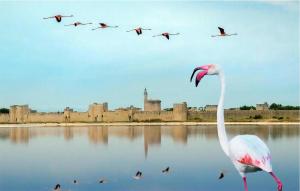 Maisons de vacances 1 Bedroom Gorgeous Home In Orgon : photos des chambres