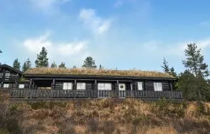 Amazing Home In Nissedal With Wifi - Kyrkjebygdi