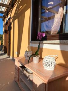 Charming apartment with dreamy terrace img20
