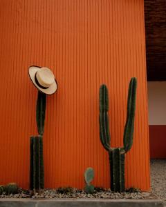 Sunset Villa Near Lembang Park Zoo