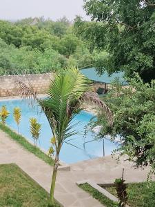 Jade luxury apartments Diani