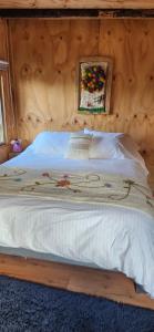 Quellón ,Chonchi ,Natri,Molulco