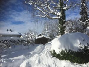Alpenchalet
