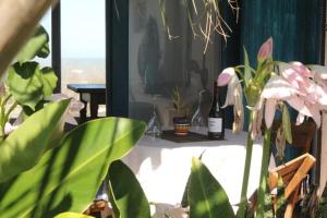 Guesthouse Entre Campo y Mar