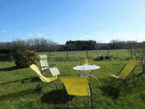 Charmante maison à Larmor Baden - 4 chambres, jardin, proche plages, animaux admis, WiFi - FR-1-775-9