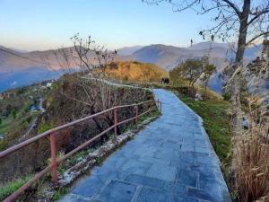 Moonlight Homestay and Camping Site