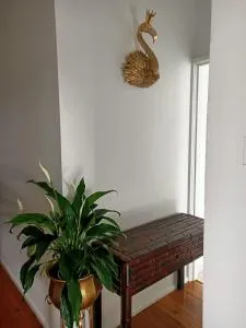 Wake up and smell the Coffee - Koolewong