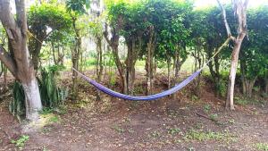 Se renta Apartamento Amoblado o sin Amoblar