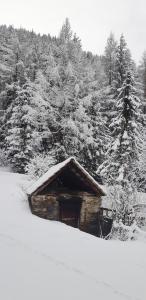 Laimbruchhof Apartments Urlaub auf dem Bauernhof