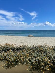 Villages vacances Residence Pascal Paoli Fior di Mare : photos des chambres