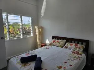 Cosy one bedroom self contained apartment - 辛加东卡