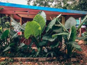 Song pee nong resort Phattalung