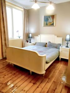 Spacious House in Central Sofia with Garden