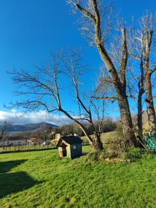 Maisons de vacances Maison entre Campagne et Foret : Maison 3 Chambres