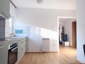 Apartma Vodrice 