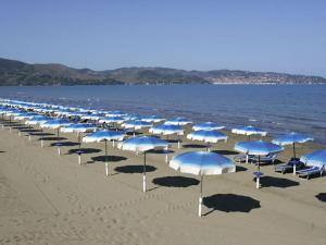 Il Girasole Terzuolo