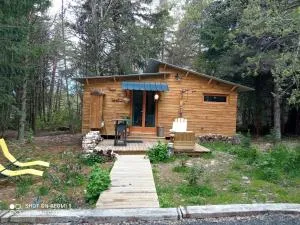 Libellule - Saint-Front