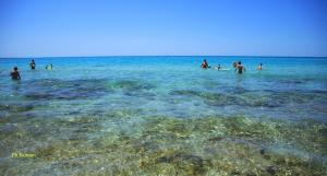 Bilocale Gs Lido San Giovanni By NonSoloMare Casevacanze srlu Gallipoli