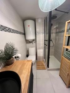 Perle des Sables Blancs, appartement entier à 100m de la plage avec parking privé