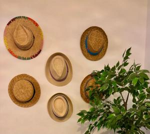 Villas VILLA BEL - Entre paradis et vignes : photos des chambres