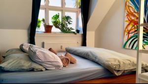 Penthouse: Copenhagen delight