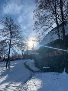 Poiana Creasta Cocoșului-Casa Mac - 卡夫尼克