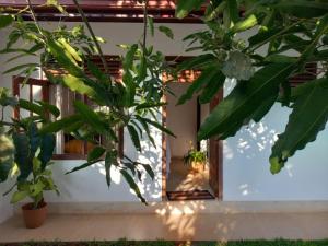Ovinn villa