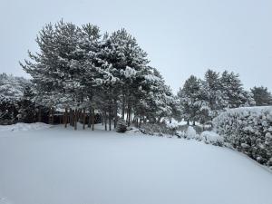 Villa - VALL DI VALL in Pirin Golf & Country Club