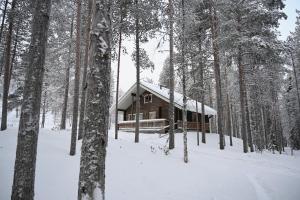 Holiday Cabin Aurora River inc Wilderness Sauna